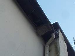 fkillineybeforeexternal 1505.jpg